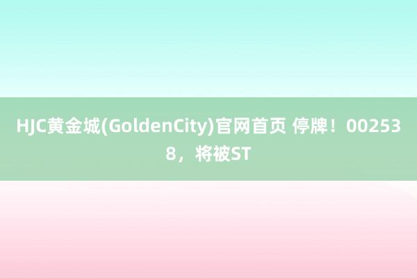 HJC黄金城(GoldenCity)官网首页 停牌！002538，将被ST