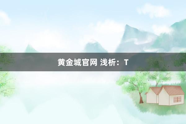 黄金城官网 浅析：T