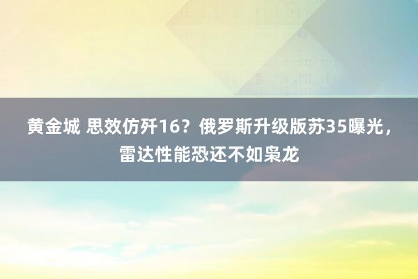黄金城 思效仿歼16？俄罗斯升级版苏35曝光，雷达性能恐还不如枭龙