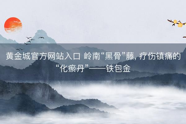 黄金城官方网站入口 岭南“黑骨”藤， 疗伤镇痛的“化瘀丹”——铁包金