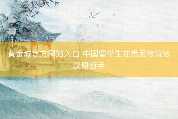 黄金城官方网站入口 中国留学生在悉尼被流浪汉掰断手