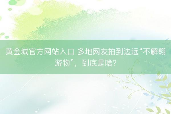 黄金城官方网站入口 多地网友拍到边远“不解翱游物”，到底是啥？