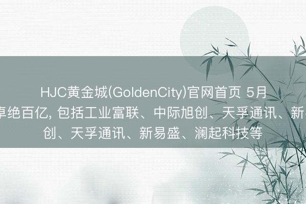 HJC黄金城(GoldenCity)官网首页 5月13日27股成交额卓绝百亿， 包括工业富联、中际旭创、天孚通讯、新易盛、澜起科技等