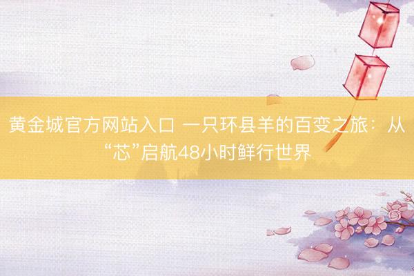 黄金城官方网站入口 一只环县羊的百变之旅：从“芯”启航48小时鲜行世界