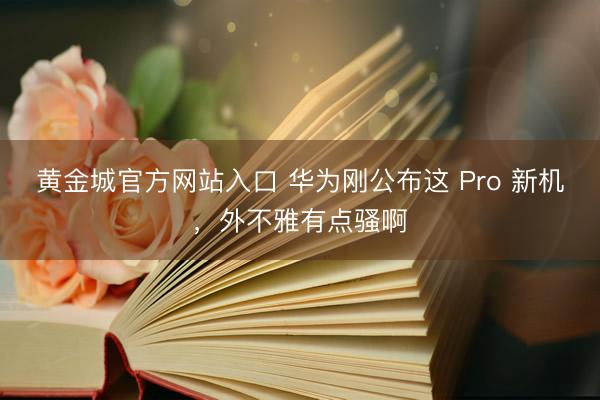黄金城官方网站入口 华为刚公布这 Pro 新机，外不雅有点骚啊