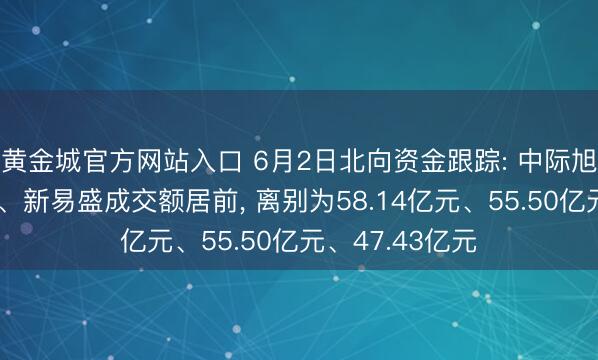 黄金城官方网站入口 6月2日北向资金跟踪: 中际旭创、宁德期间、新易盛成交额居前, 离别为58.14亿元、55.50亿元、47.43亿元