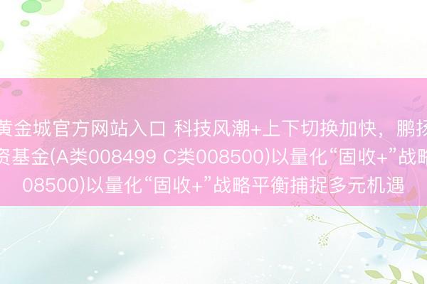 黄金城官方网站入口 科技风潮+上下切换加快，鹏扬景科混杂型证券投资基金(A类008499 C类008500)以量化“固收+”战略平衡捕捉多元机遇