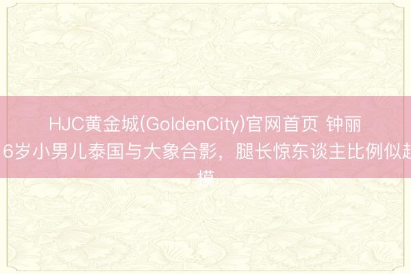 HJC黄金城(GoldenCity)官网首页 钟丽缇16岁小男儿泰国与大象合影，腿长惊东谈主比例似超模
