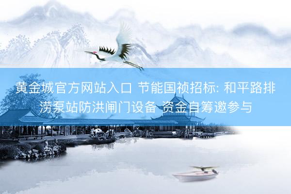 黄金城官方网站入口 节能国祯招标: 和平路排涝泵站防洪闸门设备 资金自筹邀参与